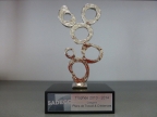 Innovation Trophy 2013 at the SADECC fair in Lyon